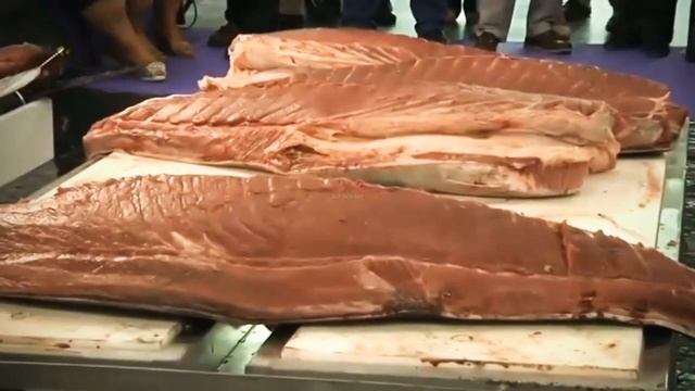 Испания Морепродукты - Разделка Голубого Тунца на 24 Различных Частей смотреть онлайн