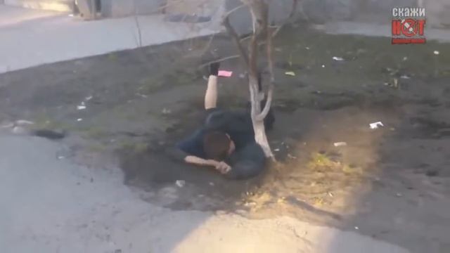 башкирские поговорки смотреть онлайн