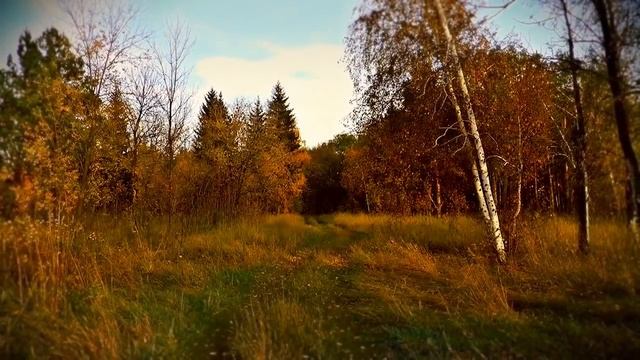 Русь Первозданная Русские гусли 432 Гц Этническая музыка Руси. Кирилл Богомилов. смотреть онлайн