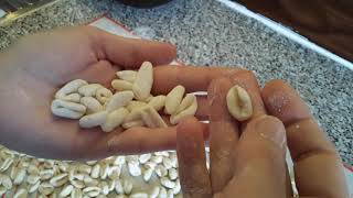 Ума и Бренда