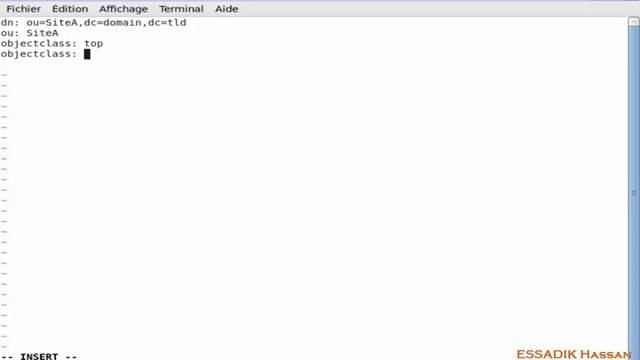 ldap2 | Gestion des objets openldap sous Linux FEDORA | Darija смотреть онлайн