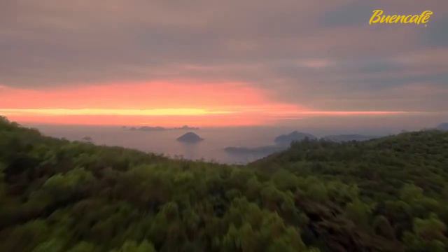 Freeze Dried Coffee, Sensoria By Buencafé