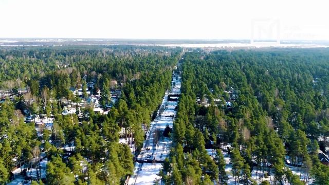 Ленинградская область, г. Всеволожск, проспект Грибоедова смотреть онлайн