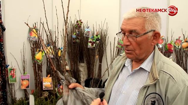 «Всероссийская ярмарка» в Нефтекамске смотреть онлайн
