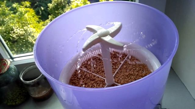 Автоматический проращиватель семян Connie CB-A321. Первый пуск спраутера Конни CB-A321. 1