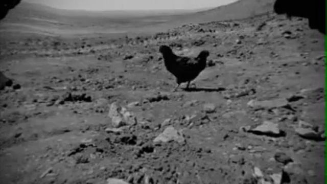 Курица на Марсе видео NASA смотреть онлайн
