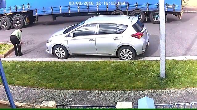 stupid driver смотреть онлайн