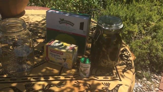 Anna's Moringa/Mint Tea made here at Vetiver Spain. смотреть онлайн