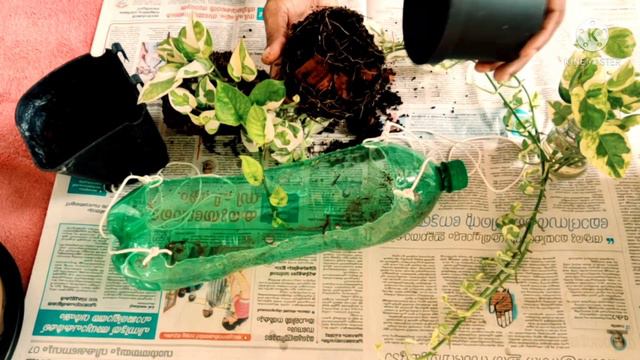 DIY | How to make a hanging Bamboo planter | Amazing Bamboo Planter | смотреть онлайн