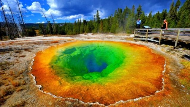 Чудеса природы смотреть онлайн