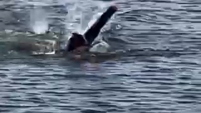 Seehowtheycoach.com The Swim: Technique and Training for Triathletes смотреть онлайн
