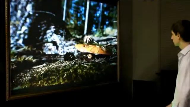 Мультимедийный зал музея смотреть онлайн