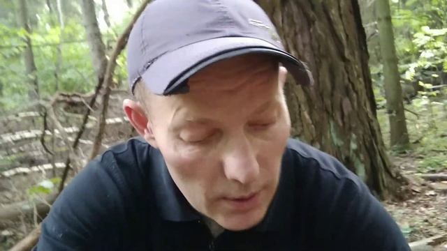 Поход в засуху за подосиновиками 23.08.2022г