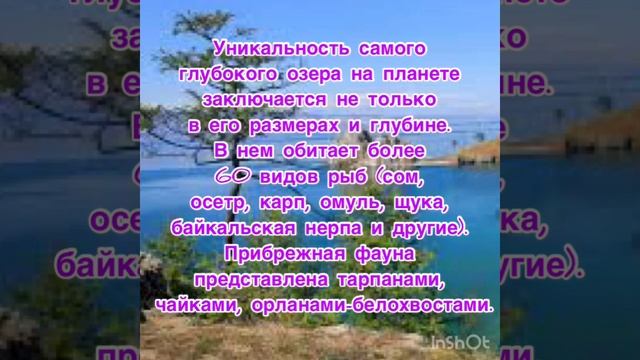 День озера Байкал. Интересные факты о Байкале смотреть онлайн