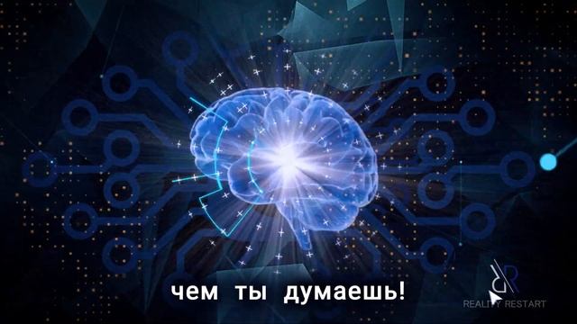 Рестарт программа "ПЛАН" смотреть онлайн