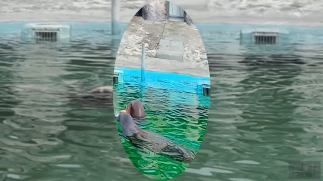 Ижевск зоопарк смотреть онлайн