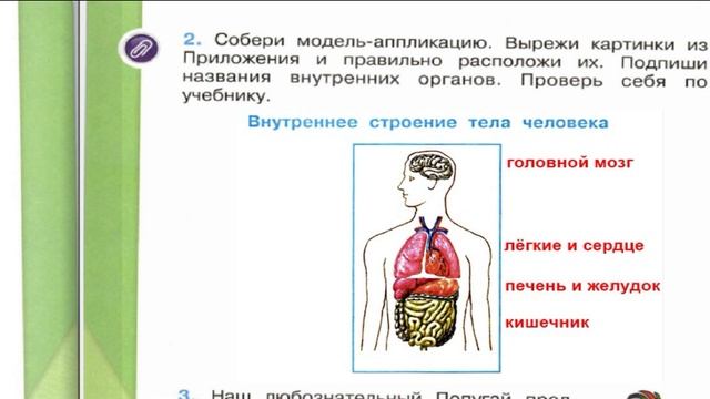 Окружающий мир. Рабочая тетрадь 2 класс 2 часть. ГДЗ стр. 4 №2 смотреть онлайн