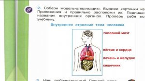 Окружающий мир. Рабочая тетрадь 2 класс 2 часть. ГДЗ стр. 4 №2