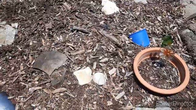 ГЕРМАНИЯ,,ВЛОГ,,игры утром,,вкусная картошка,,опять в саду смотреть онлайн