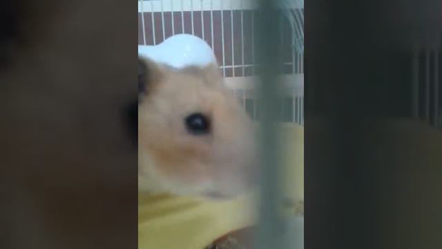 Это называется уголок смотреть онлайн