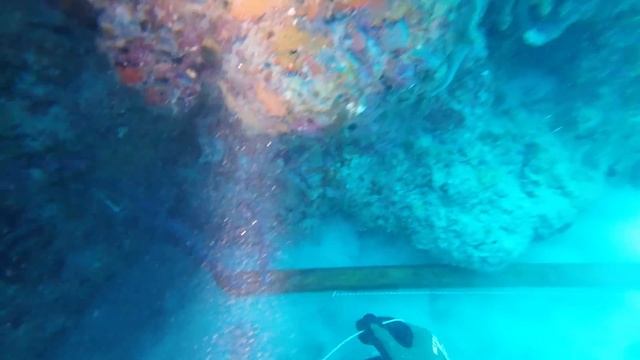 DJI Action 4 | Best Diving Camera I've Ever Used | Hands On Review смотреть онлайн