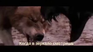 Animal in me (+русский текст)
