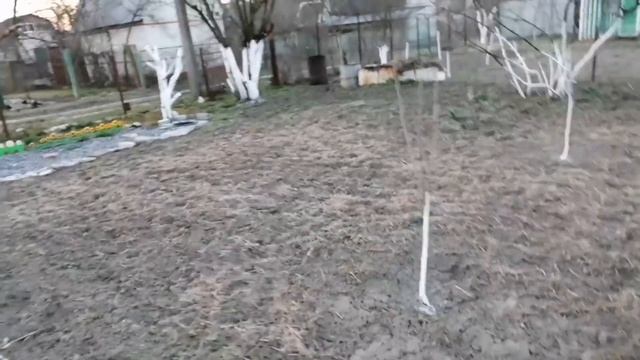 Мы на даче, минуты позитива и наслаждения.Fix Price на моей даче смотреть онлайн