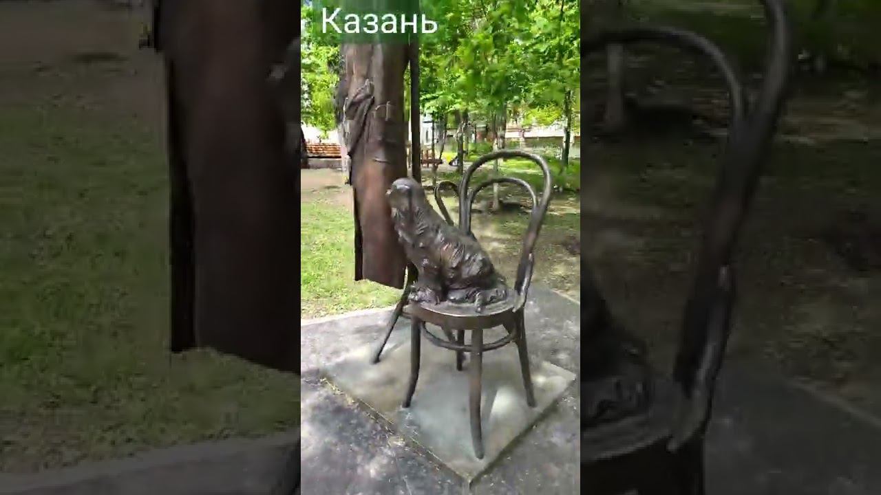 Потерялся питомец? смотреть онлайн