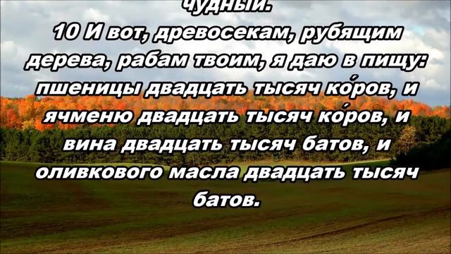 Тихое время с Живой Жизнью: 2 Паралипоменон 2:1–10 (27102018) смотреть онлайн