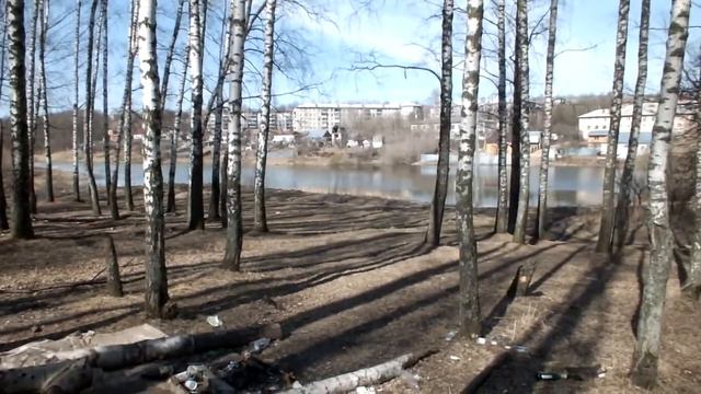 Косая Гора. Стрекаловский пруд,Берёзовая роща. смотреть онлайн