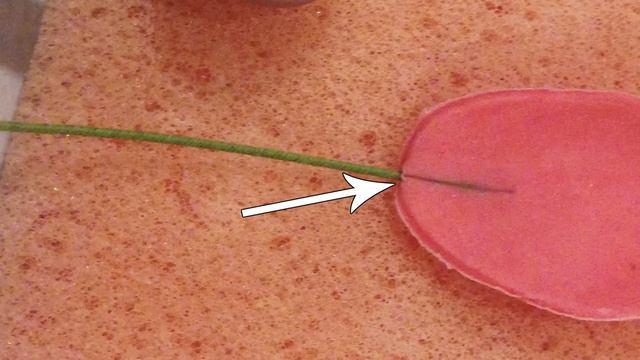 How to make a Lotus Flower (Gumpaste) смотреть онлайн