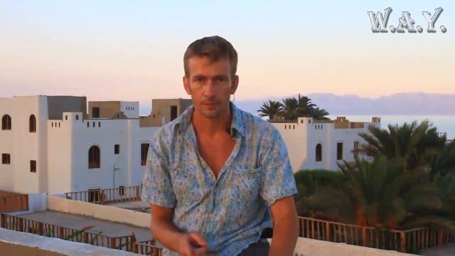 Развитие внимательности смотреть онлайн