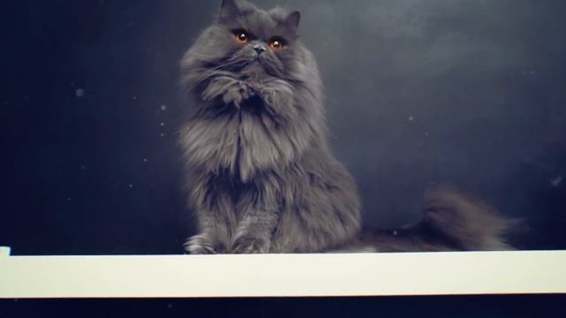 РУМ ТУР | ROOMTOUR | Детская для девочек 12+