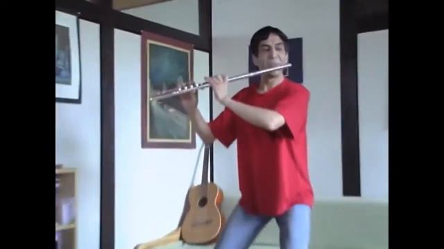 W A Mozart: Concert for flute and orchestra on G major (flute by nahan) смотреть онлайн