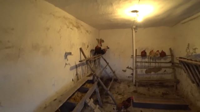 Инкубатор Из Бутылки смотреть онлайн