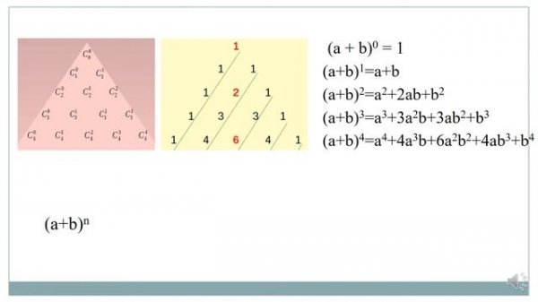 Треугольник Паскаля и Формула бинома Ньютона