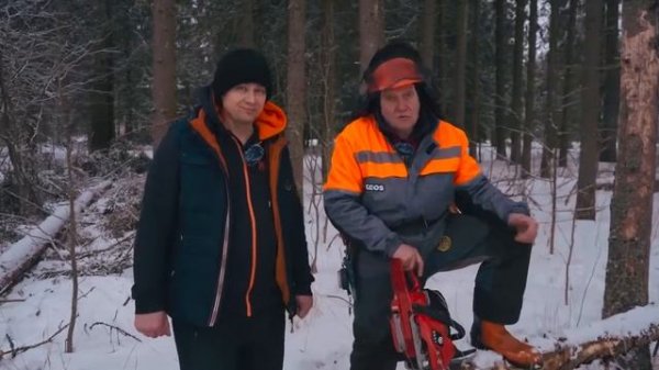 Тест профессиональной бензопилы GEOS