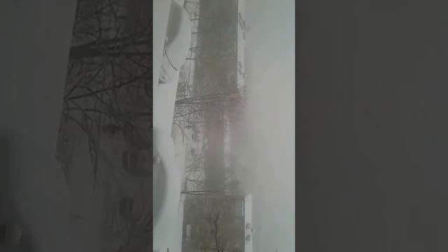 снег во Владивостоке. смотреть онлайн