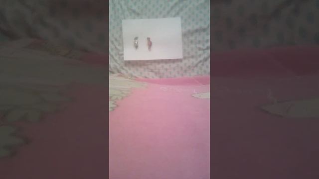 Вызываем духа гномика испо вызываем духа исполняющего желания и проверяем фейк или нет смотреть онлайн