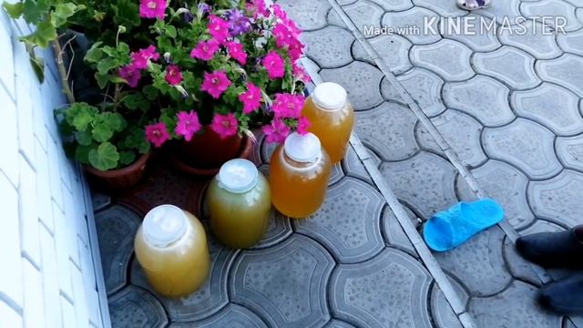 У нас родился внук!!! Каждый день гости. Подарки от племянников.