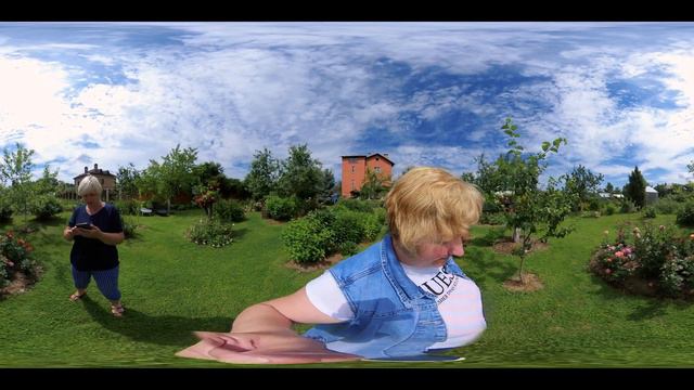 Как цветут розы у наших друзей. Видео в 360° смотреть онлайн