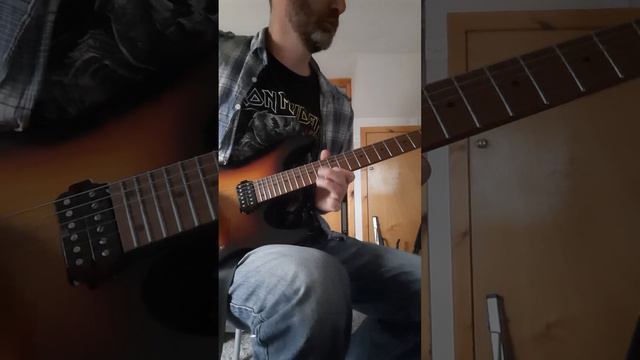 Lenny Kravitz, Are you gonna go my way solo cover. Ibanez prestige AZ2402, t-shirt by Iron Maiden. смотреть онлайн
