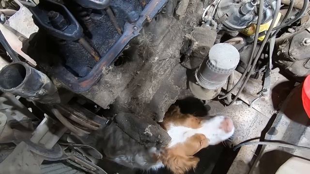 1968 Ford F100 With A STUCK Engine! Abandoned For 18 Years! Will It Run?!?