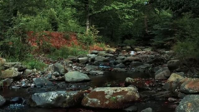 Невестка отвадила свекровь наводить порядок у них в квартире смотреть онлайн