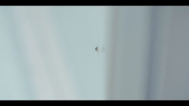 новый фумигатор Xiaomi Mi Mijia Mosquito Repellent (Basic Edition 3 Pack) смотреть онлайн