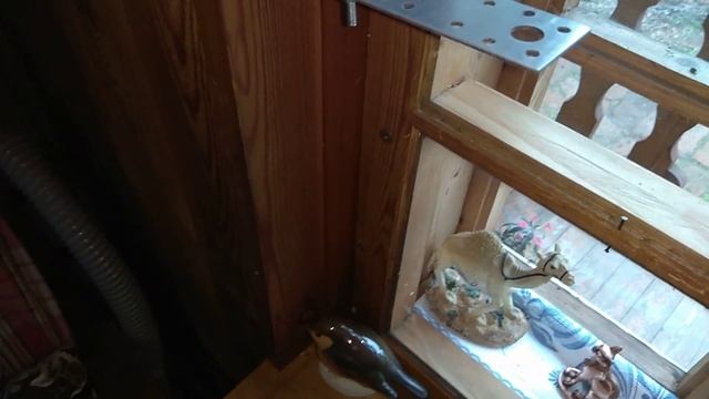 Использование старой видеокамеры sony