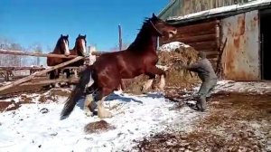 Владимирский тяжеловоз