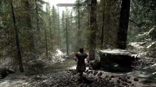 Hardcore Skyrim PS4 load order not for milk drinkers [ music slowed & edited ] смотреть онлайн