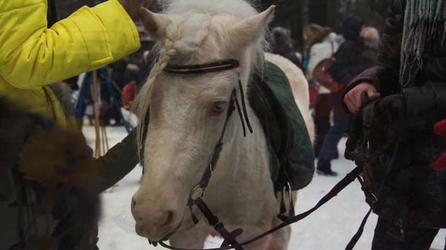 Масленица.. Павловск.. смотреть онлайн