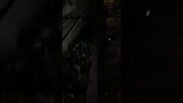 НЛО в Белгороде смотреть онлайн